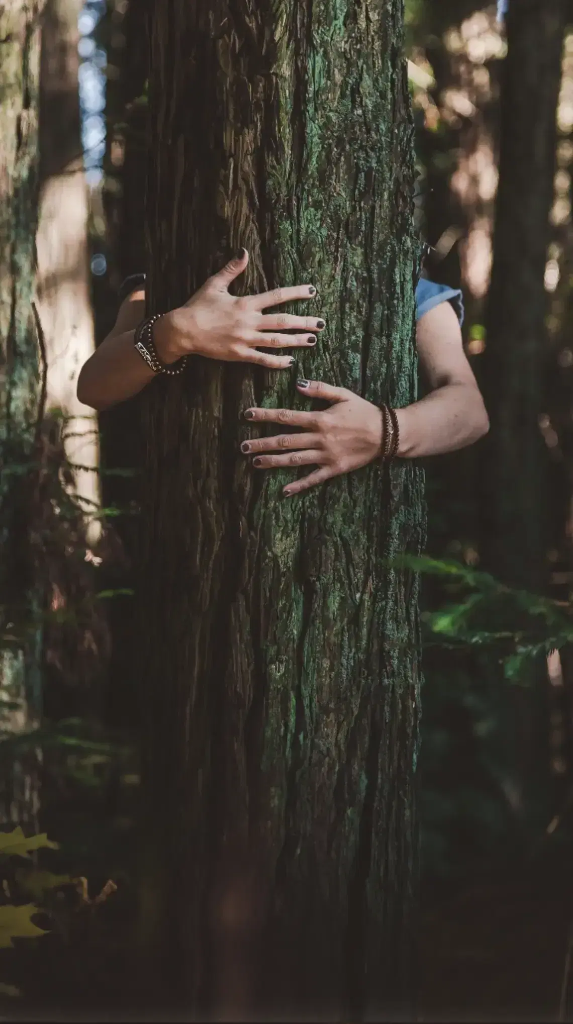 girl hugging a tree