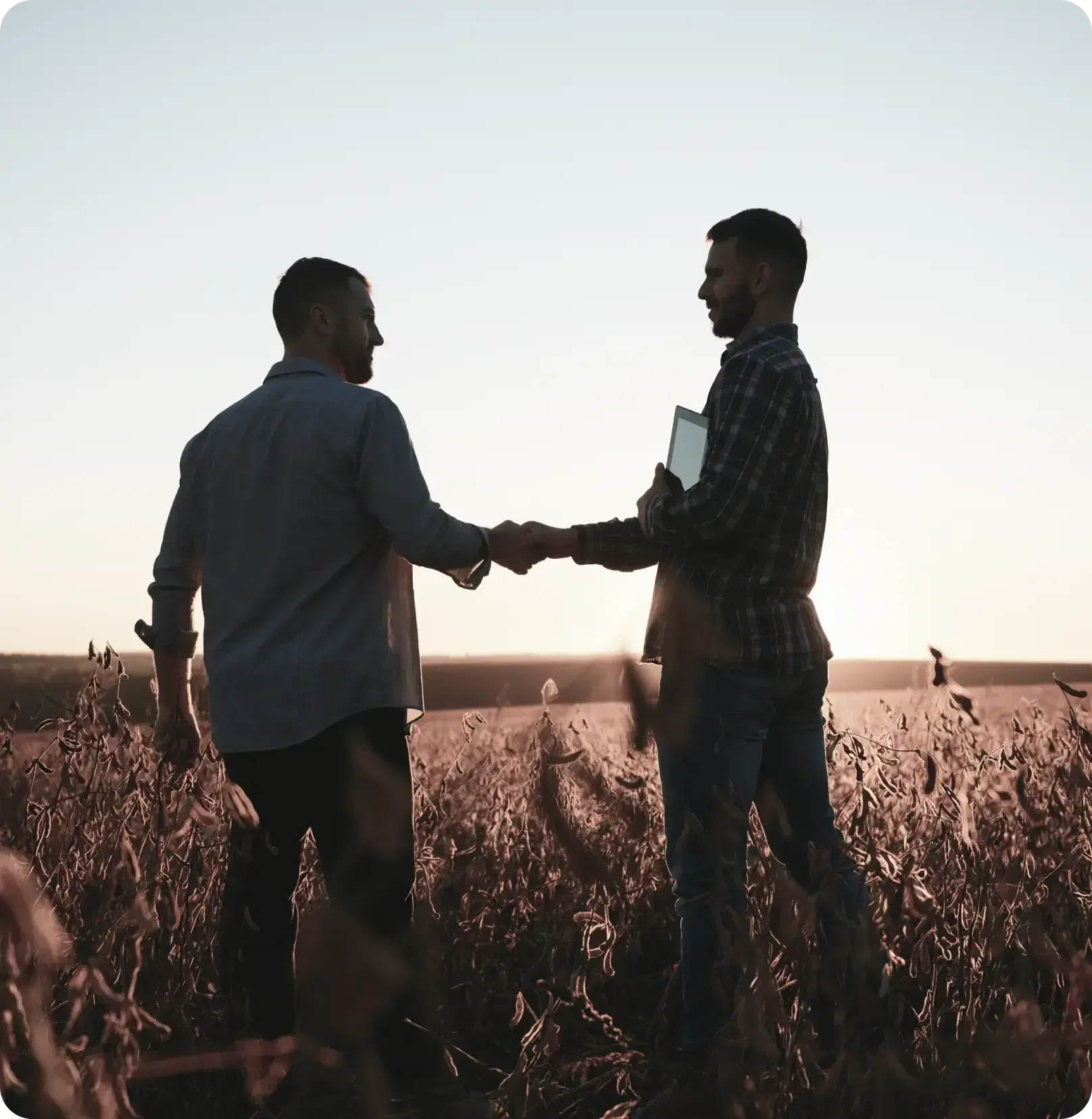 two farmers shaking hands