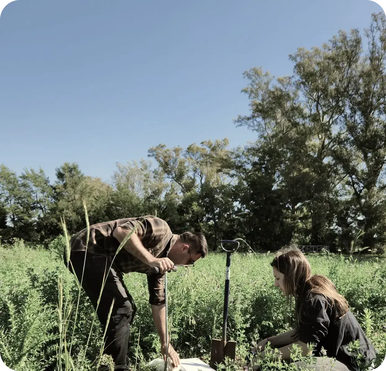 nativas team working on the field