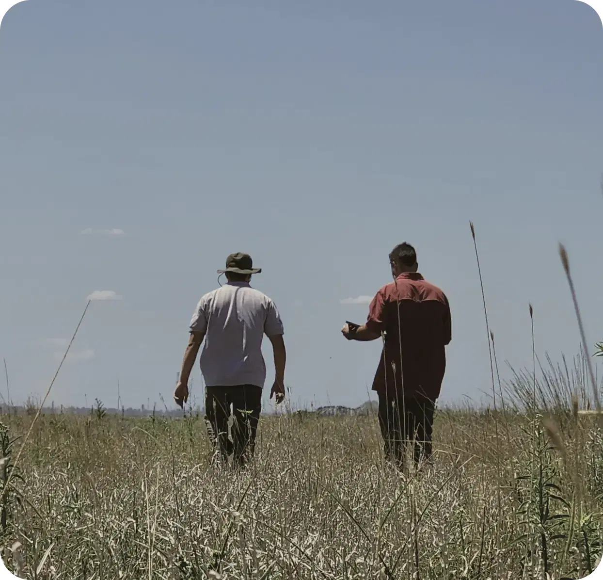 nativas team working on the field