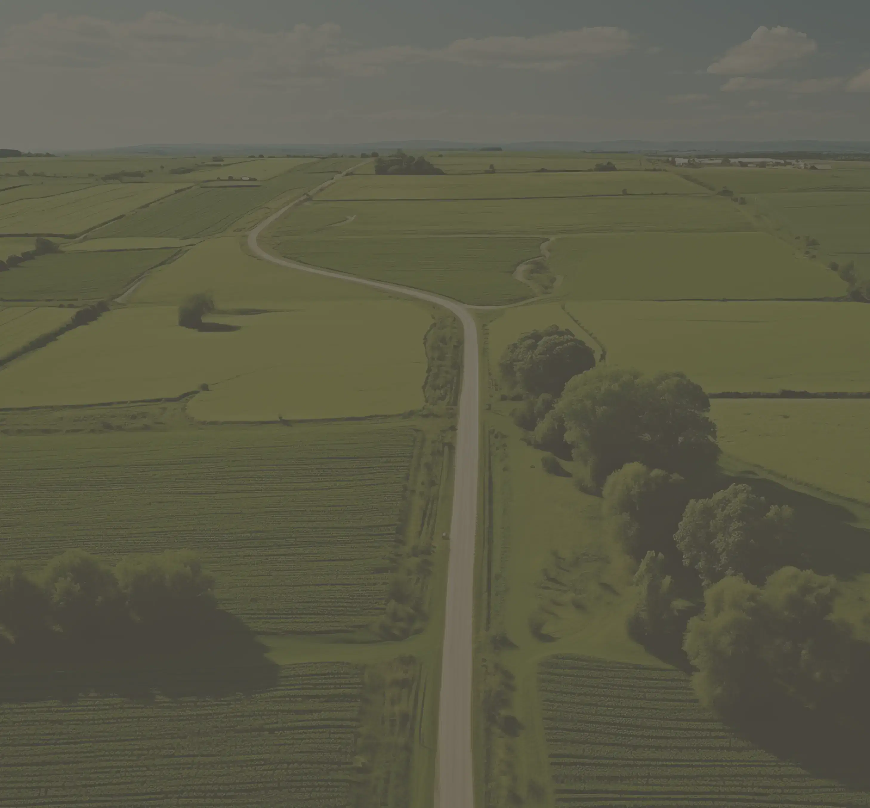 aerial shot of a road in the middle of nature